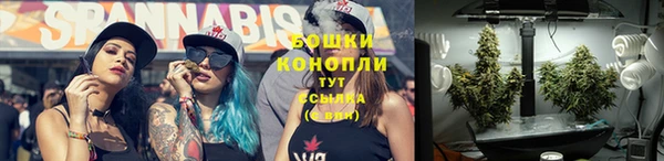 ECSTASY Вязьма
