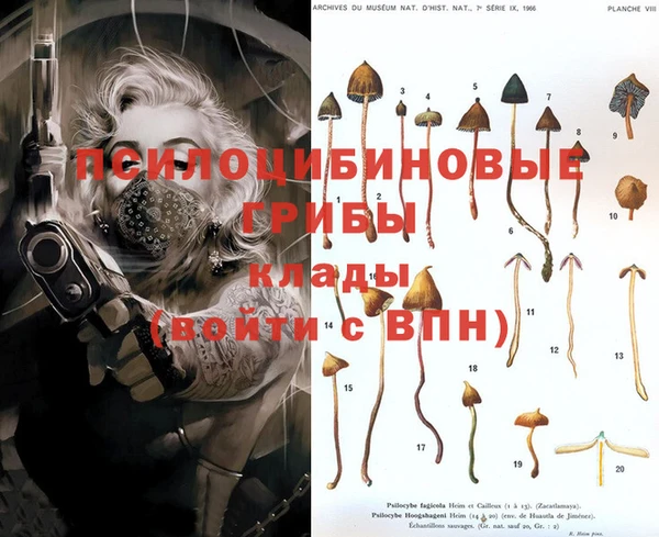 ALPHA PVP Вяземский