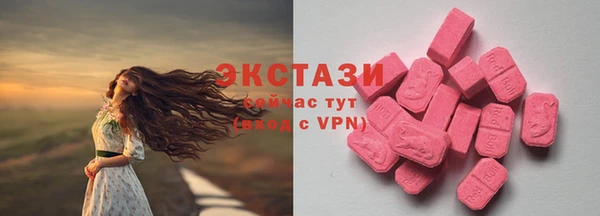ешки Горняк