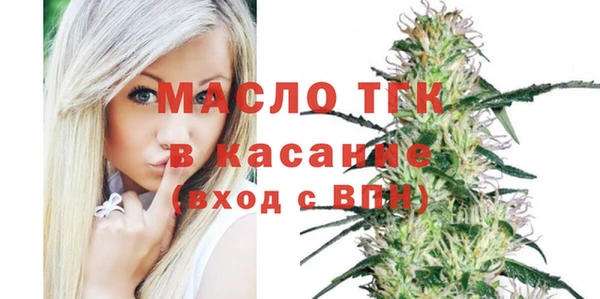 ешки Горняк